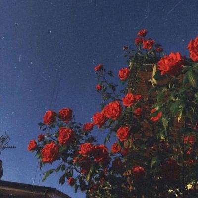 幻想物语手游官方下载