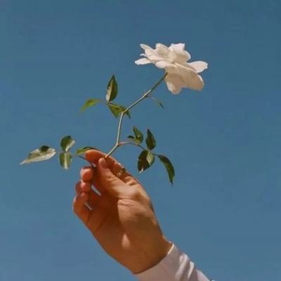 v10贵族领皮肤下载