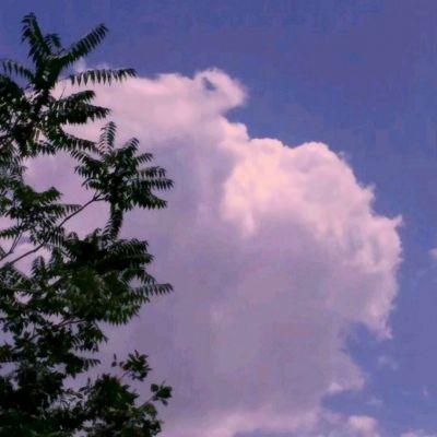 蜘蛛滑板英雄破解版下载